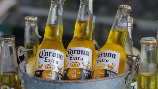 Constellation Brands results improve as investors weigh uneven beer demand