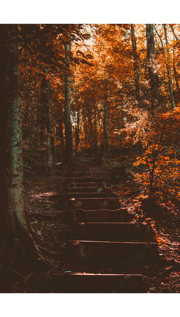 15 Autumn Items to FALL in Love with on Amazon