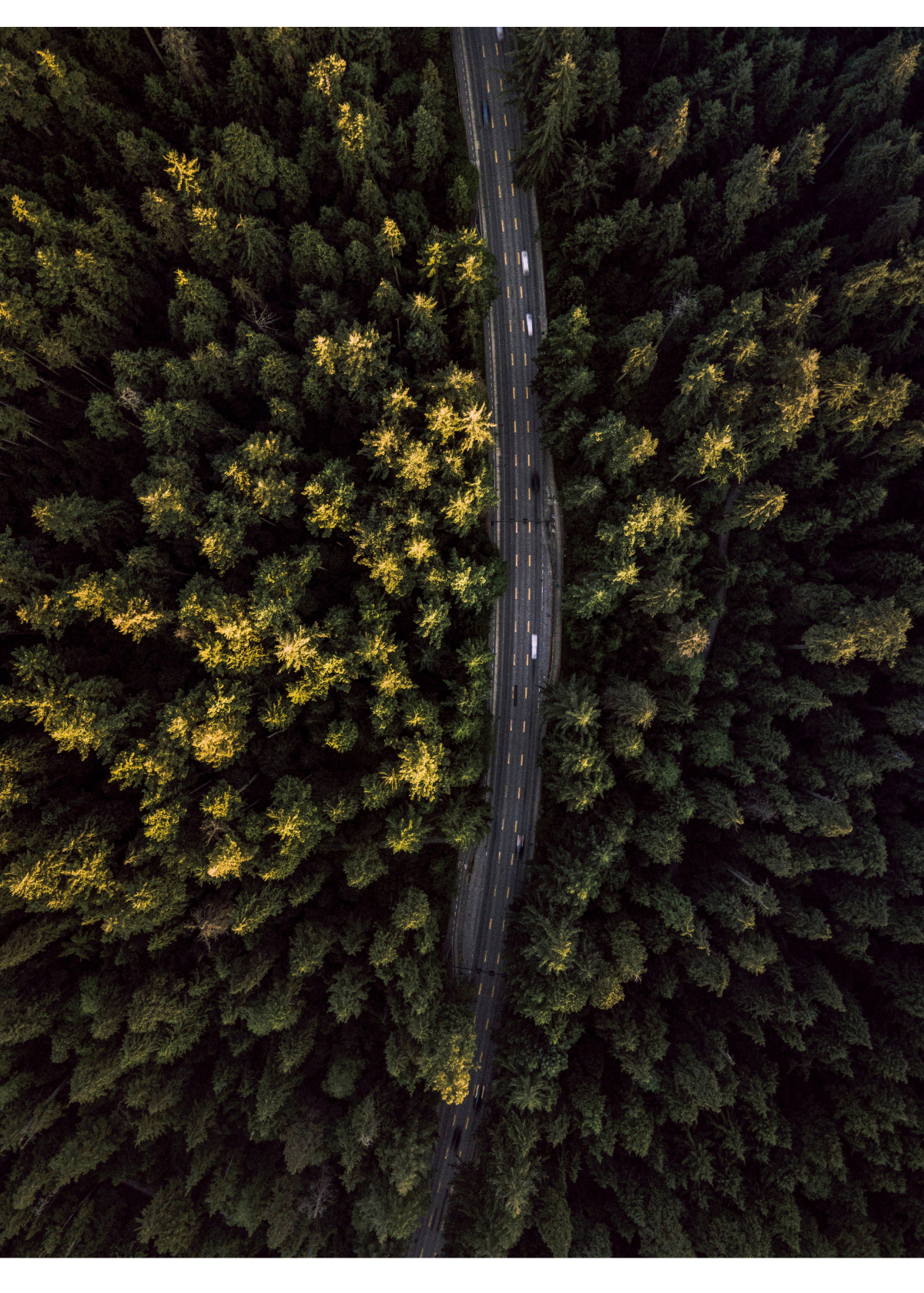 5 Best Drones Under $200 for Flying Fun