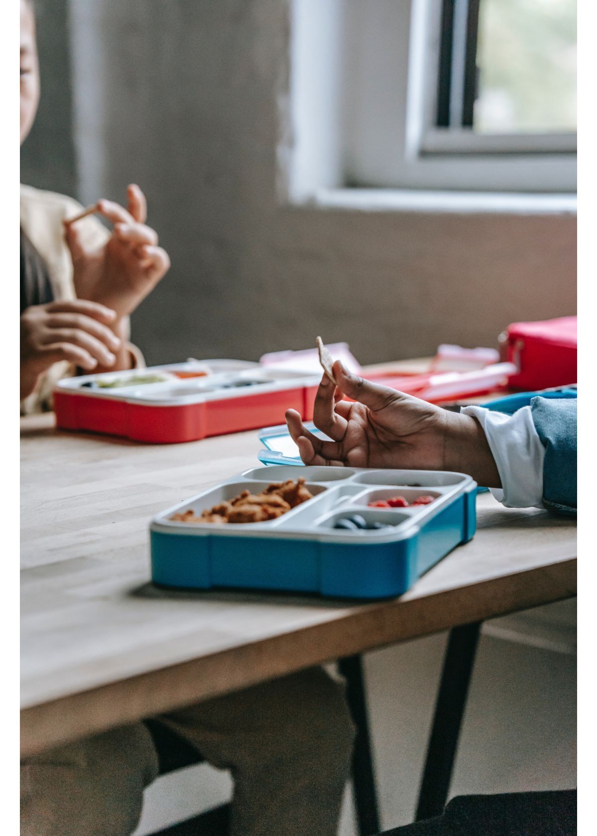 Best Bento Lunch Boxes for Health-Conscious Individuals