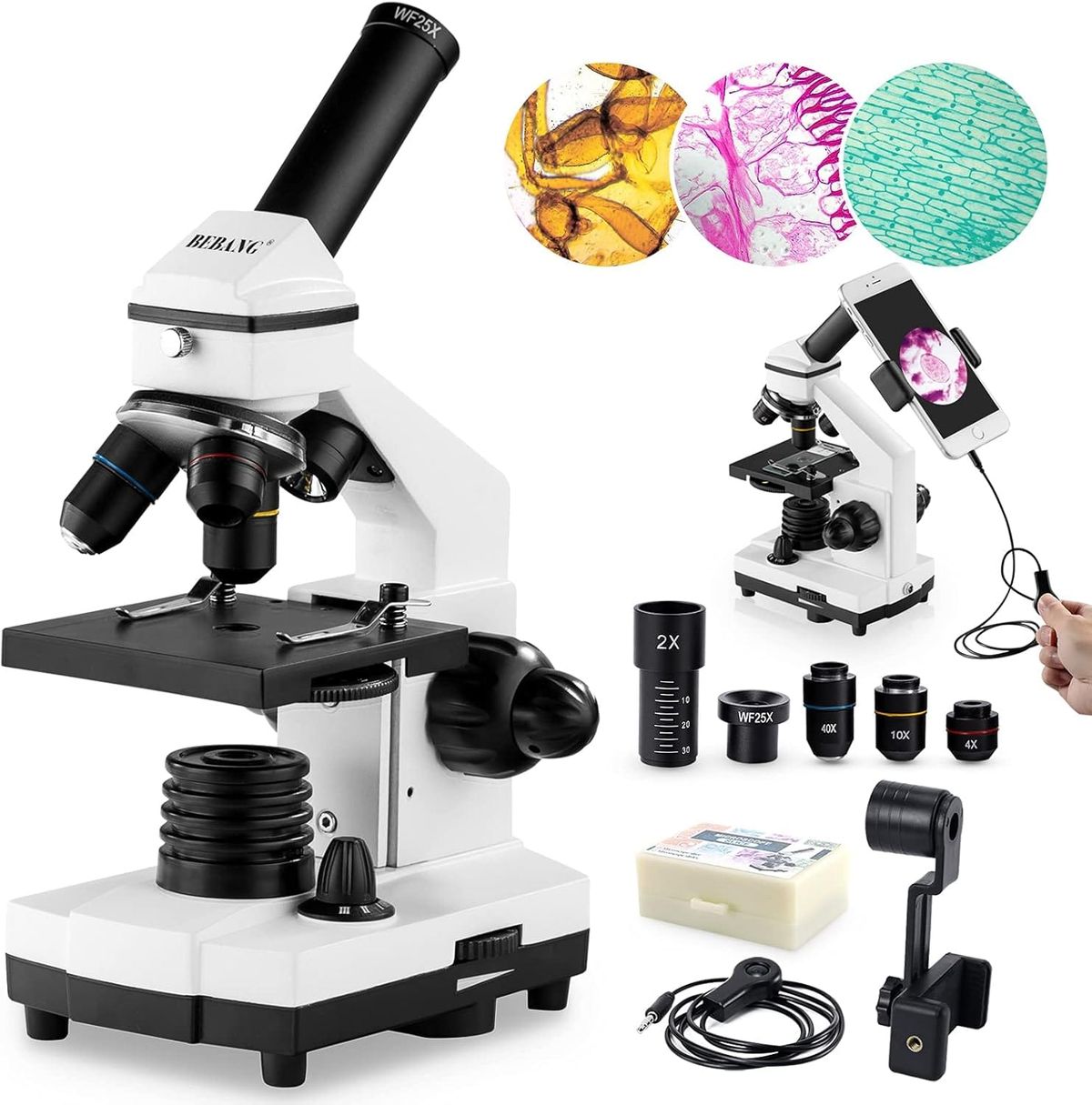 Explore Science: Best Mini Microscopes for Children