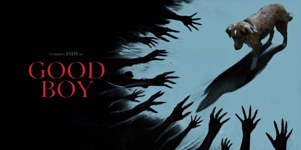 Review: Good Boy
