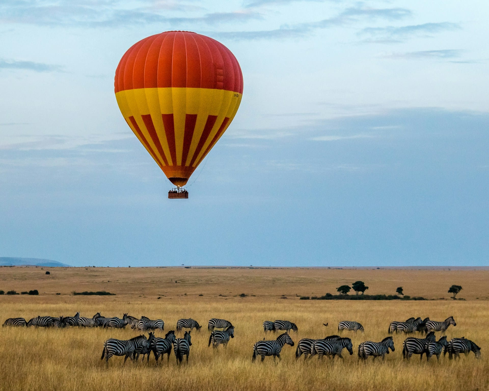 hot air baloon over the african savanna