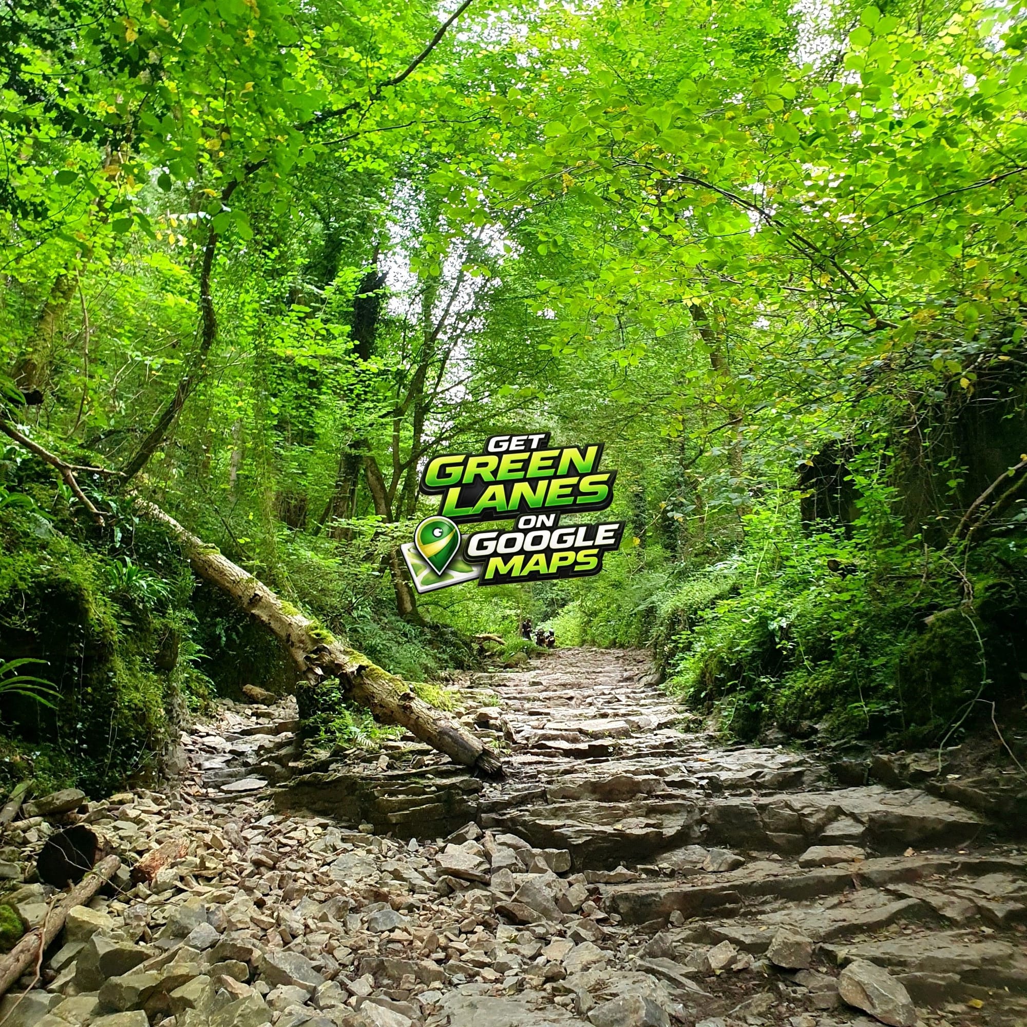 TrailVidz
