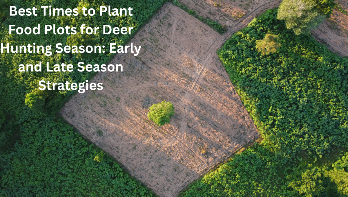 Best Times to Plant Food Plots for Deer Hunting Season: Early and Late Season Strategies
