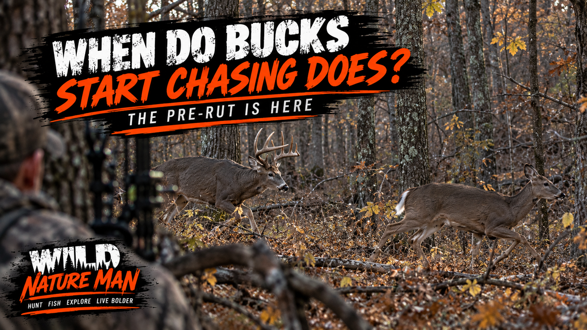 When Do Bucks Start Chasing Does? Signs the Whitetail Rut Is Starting