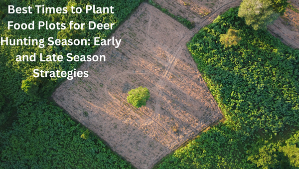 Best Times to Plant Food Plots for Deer Hunting Season: Early and Late Season Strategies