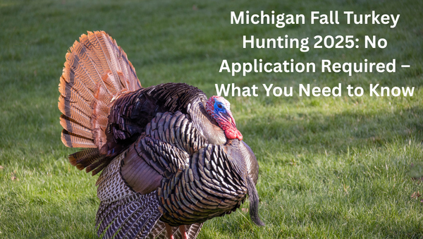 Michigan Fall Turkey Hunting 2025: No Application Required – What You Need to Know