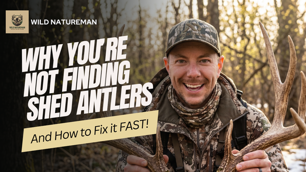 Why You're Not Finding Shed Antlers (And How to Fix it Fast)