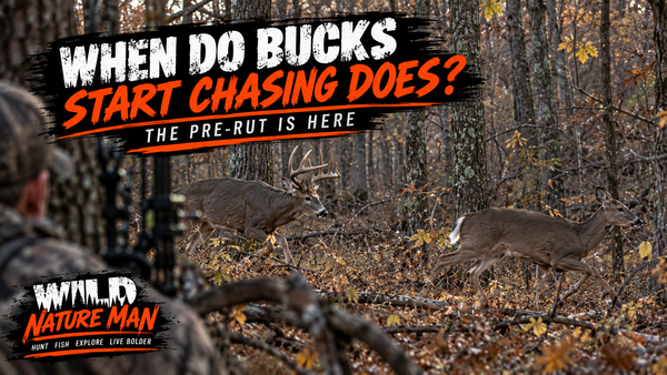 When Do Bucks Start Chasing Does? Signs the Whitetail Rut Is Starting