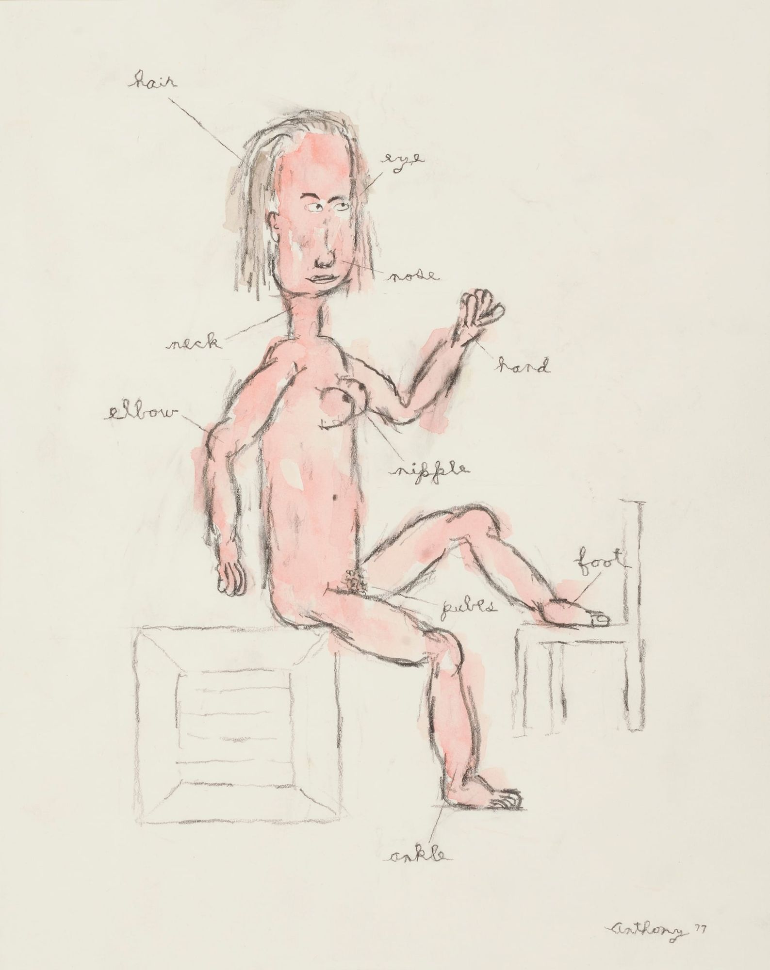 Watercolour sketch of naked lady sitting on a crate with her body parts labelled