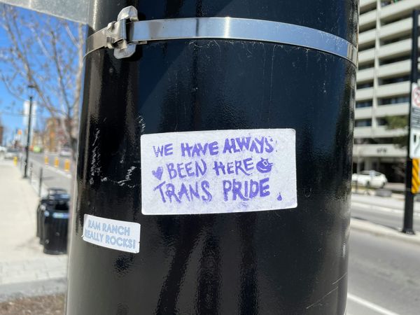 Sticker on bollard saying "we have always been here, trans pride"