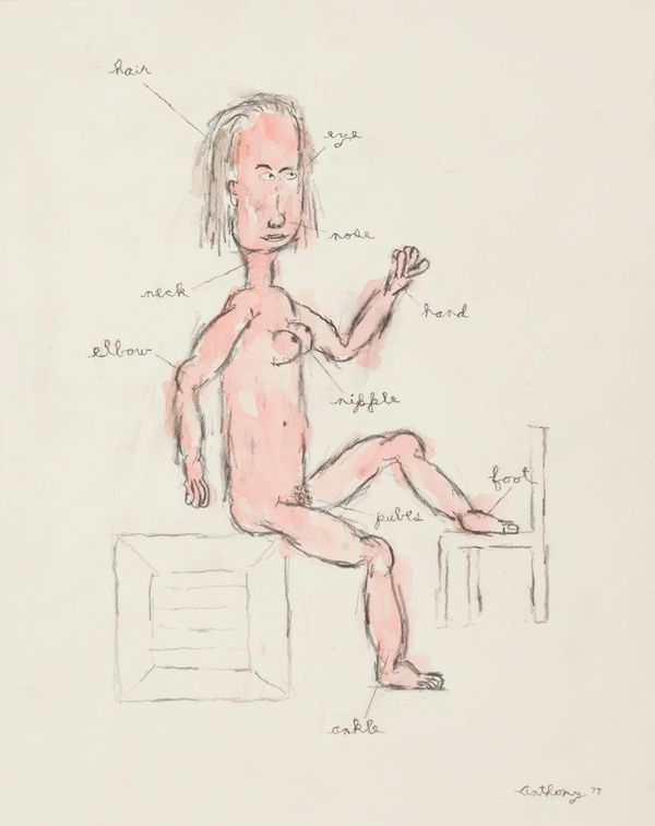 Watercolour sketch of naked lady sitting on a crate with her body parts labelled