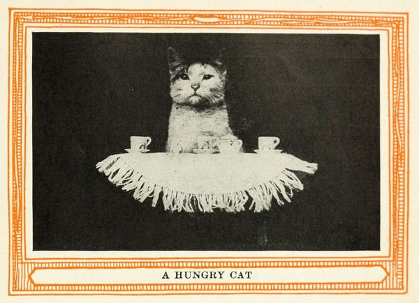 A very serious cat sits at a small table with a tea set laid out. Black and white photo.