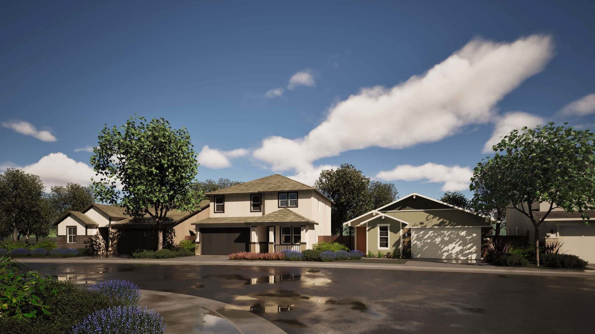 Rendering shows single-family homes planned for the Grove subdivision in Lincoln. Image: Jeffrey DeMure + Associates Architects Planners