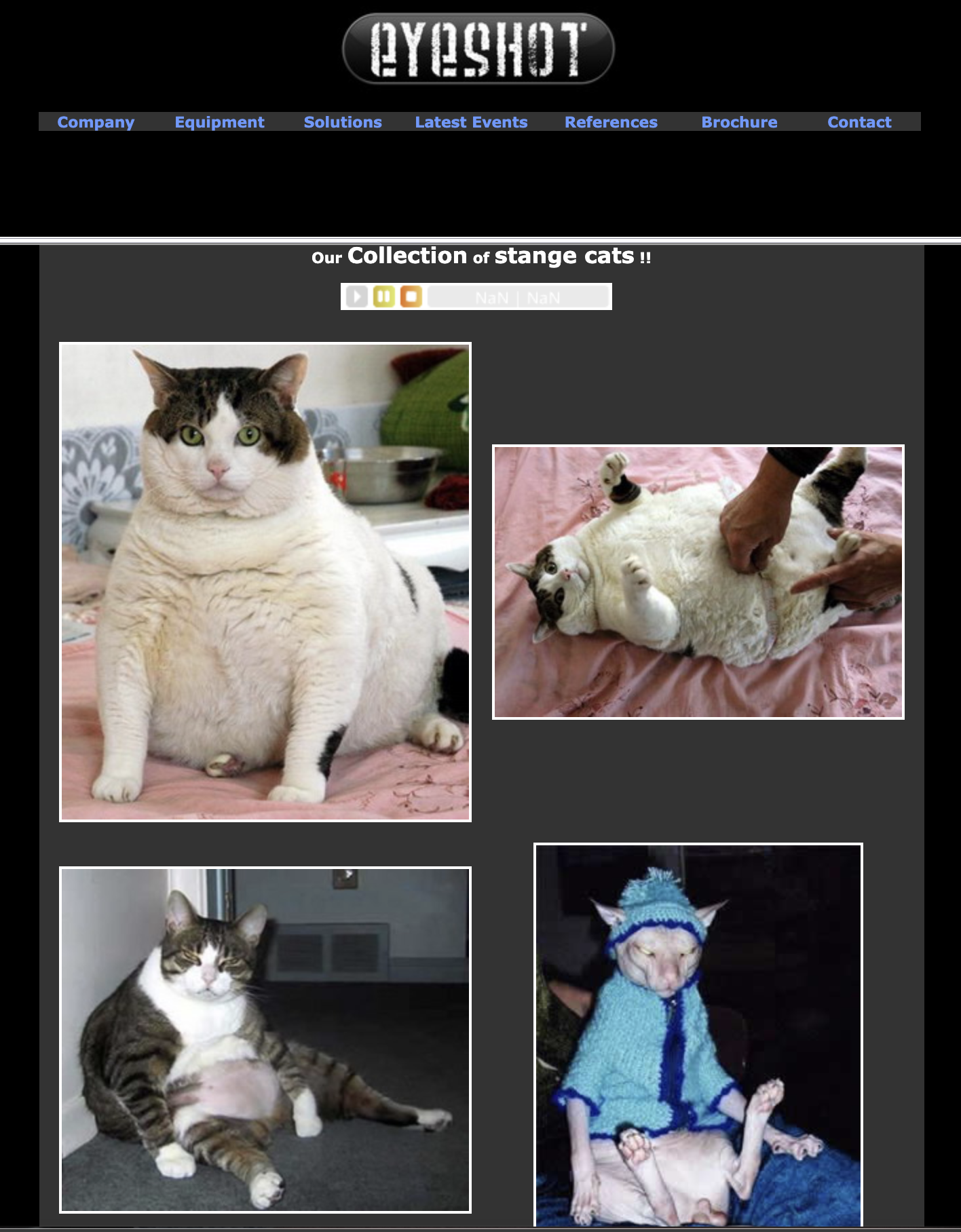 Site internet Eyeshot en 2008 - Pages Gros Chats