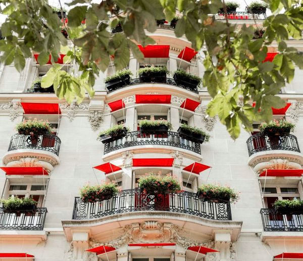 plaza athenee