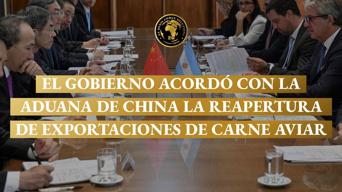 Exportaciones de carne aviar