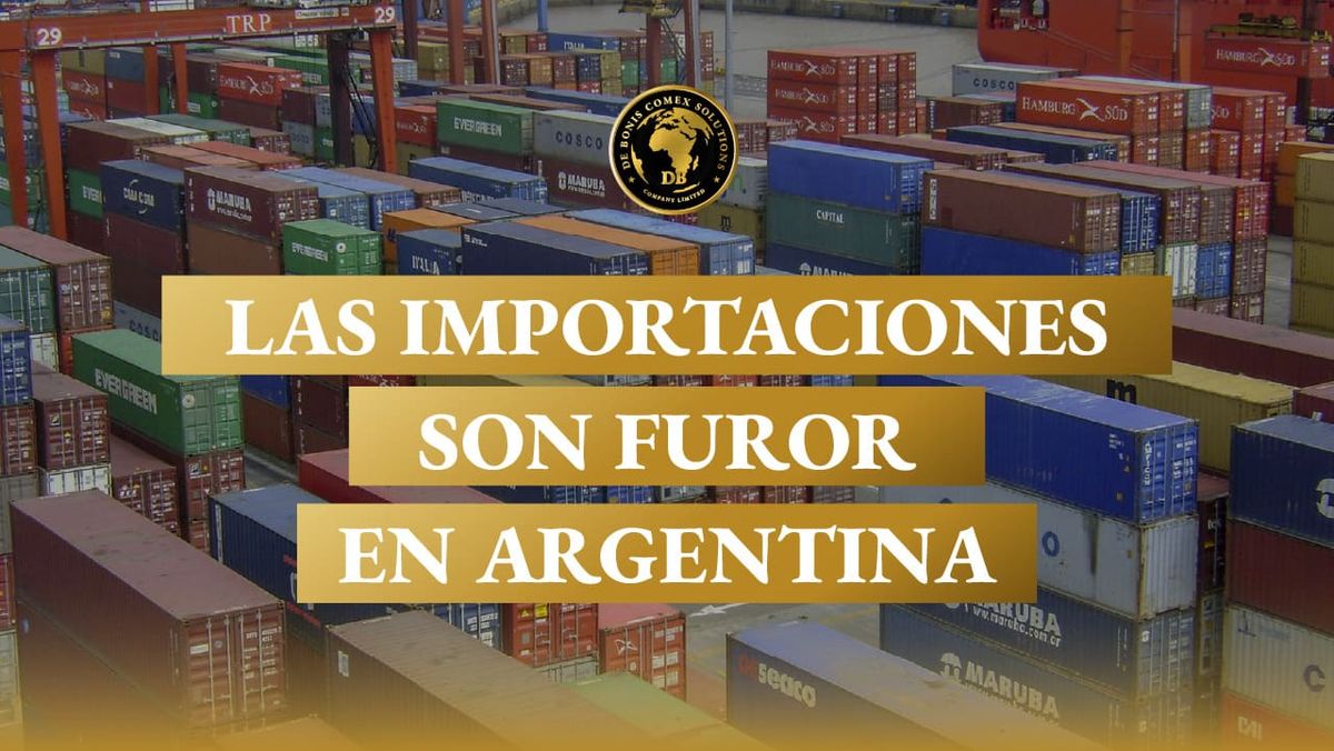 Contenedores marítimos en un puerto argentino, representando el crecimiento de las importaciones y su impacto en la logística