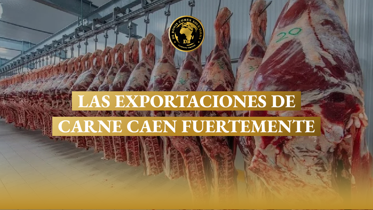 Exportaciones de carne