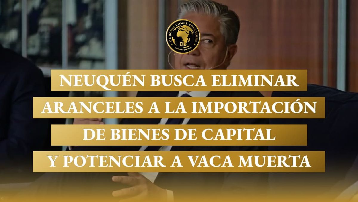 Rolando Figueroa en entrevista pública sobre medidas de importación de bienes de capital para potenciar Vaca Muerta en Neuquén