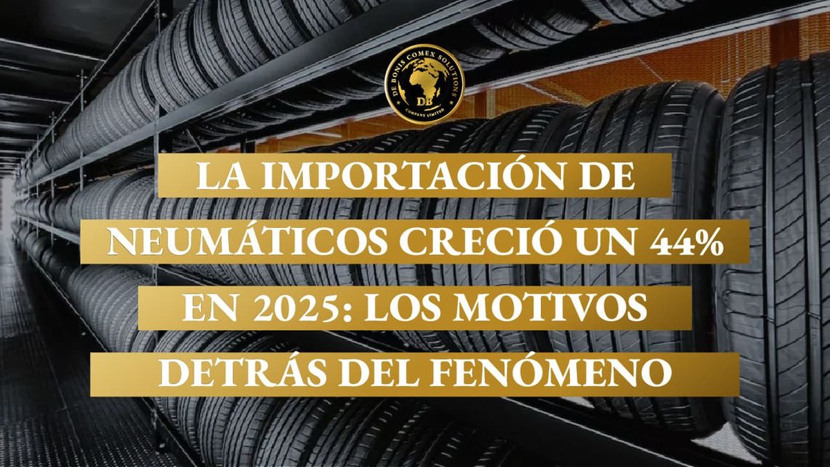 Estanterías con neumáticos en depósito logístico, representando el crecimiento de la importación de neumáticos y su peso en el mercado argentino.