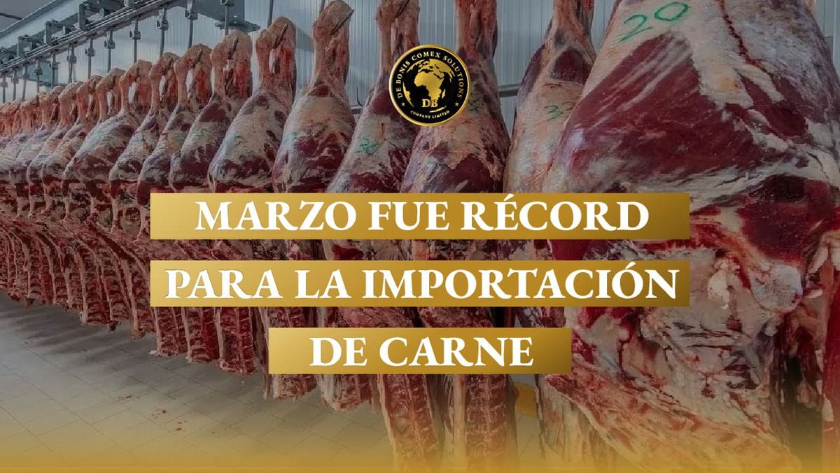 Cámaras frigoríficas con medias reses bovinas en un contexto de crecimiento récord de la importación de carne en Argentina durante marzo de 2026.
