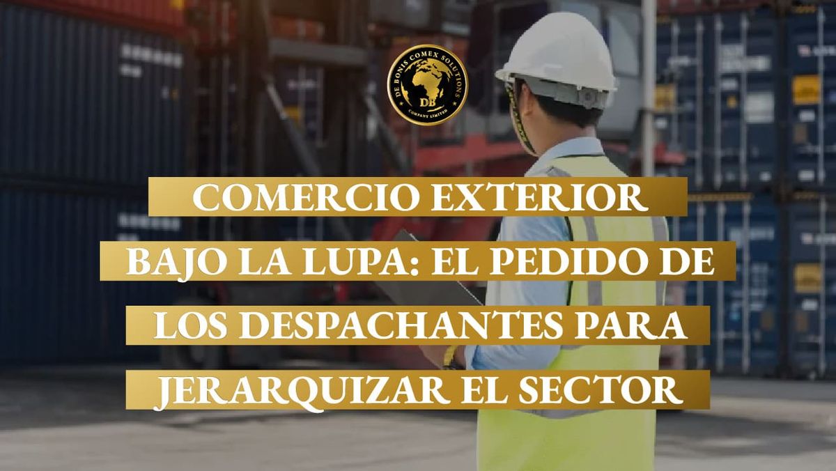 Profesional supervisa contenedores en una terminal logística durante operaciones de comercio exterior, en el marco del pedido de los despachantes para jerarquizar el sector.