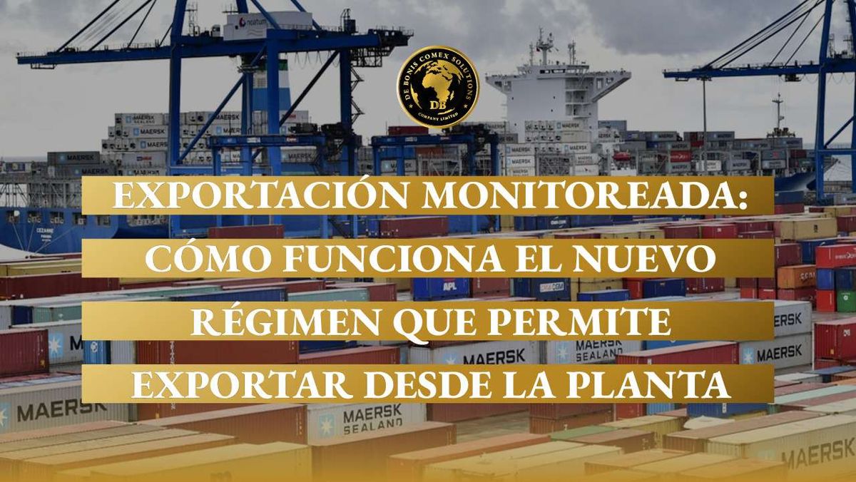 Operario supervisa una carga bajo el régimen de Exportación Monitoreada en una planta exportadora argentina.