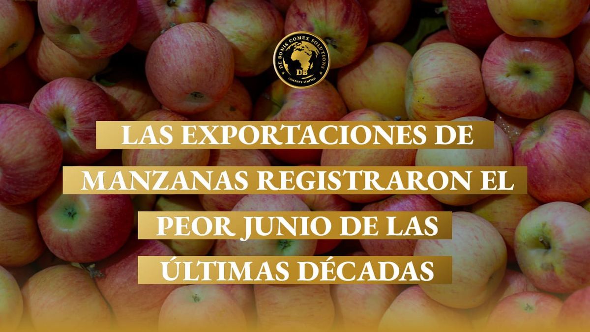 Exportaciones de manzanas argentinas: imagen de manzanas frescas que refleja la fuerte caída de los envíos al exterior durante junio de 2026.