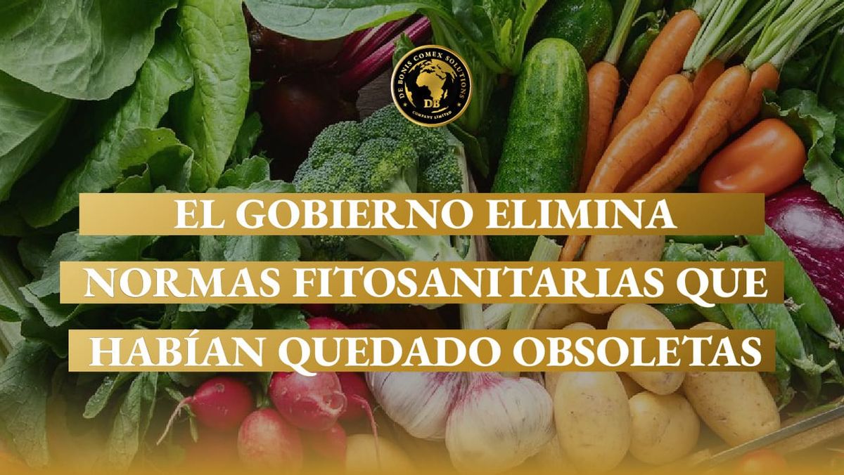Verduras y vegetales frescos exhibidos para su comercialización, en el marco de las normas fitosanitarias que regulan la producción y el comercio agroalimentario en Argentina.