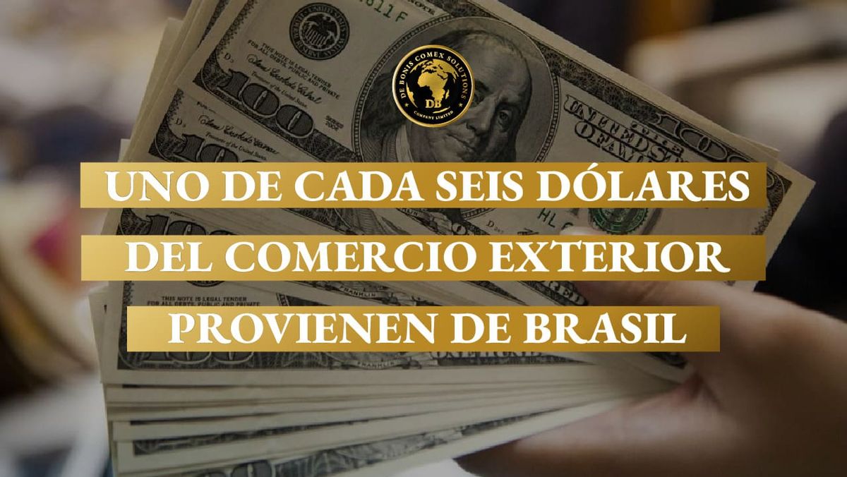 Billetes de dólares estadounidenses con un mensaje sobre Brasil, destacando que uno de cada seis dólares del comercio exterior argentino proviene del intercambio bilateral con el principal so