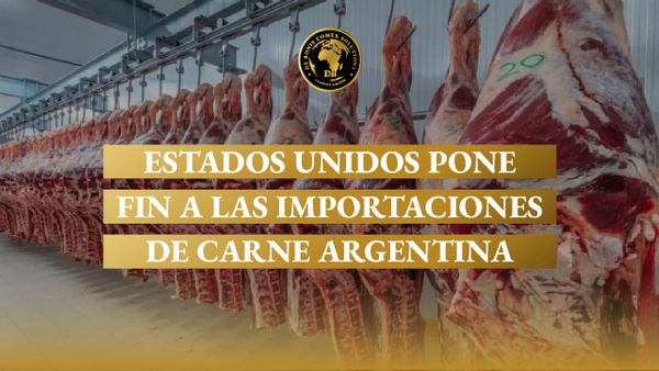 Exportaciones de carne