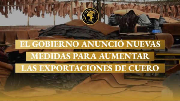 Exportaciones de cuero