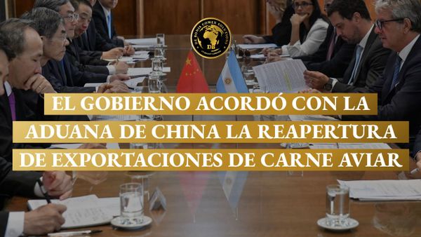 Exportaciones de carne aviar