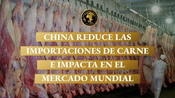 Línea de faena en frigorífico con reses colgadas, ilustrando la caída de importaciones de carne de China y su impacto global.