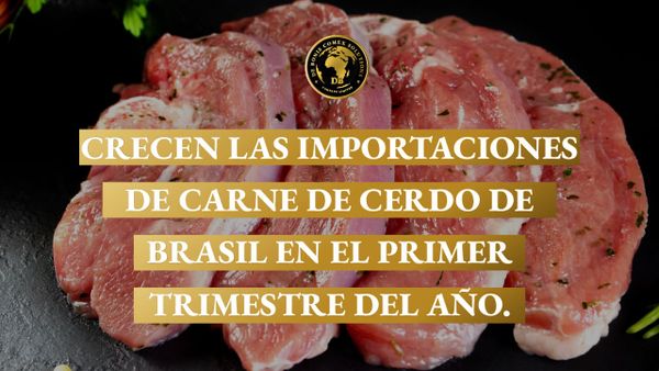 Cortes de carne de cerdo fresca en primer plano, representando el crecimiento de la importación de carne de cerdo desde Brasil en el mercado argentino.