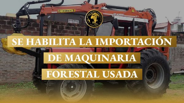 Equipo forestal tipo forwarder en una nota sobre la importación de maquinaria forestal usada para el sector foresto industrial argentino.