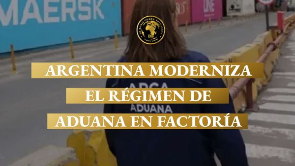 Agente de Aduana en zona portuaria supervisando operaciones vinculadas al régimen de aduana en factoría, actualizado para ampliar beneficios a más industrias en Argentina.