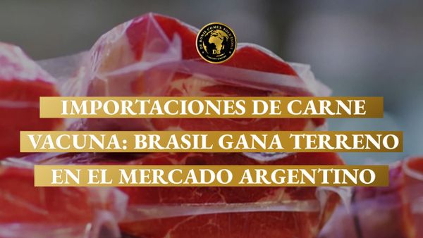 Cortes de carne vacuna envasados al vacío exhibidos para su comercialización, en un contexto de crecimiento de las importaciones de carne desde Brasil hacia el mercado argentino.