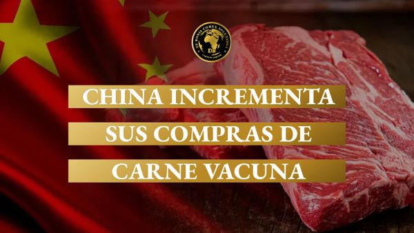 Importación de carne vacuna en China, clave para las exportaciones.