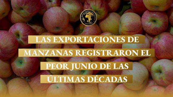 Exportaciones de manzanas argentinas: imagen de manzanas frescas que refleja la fuerte caída de los envíos al exterior durante junio de 2026.