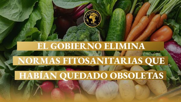 Verduras y vegetales frescos exhibidos para su comercialización, en el marco de las normas fitosanitarias que regulan la producción y el comercio agroalimentario en Argentina.