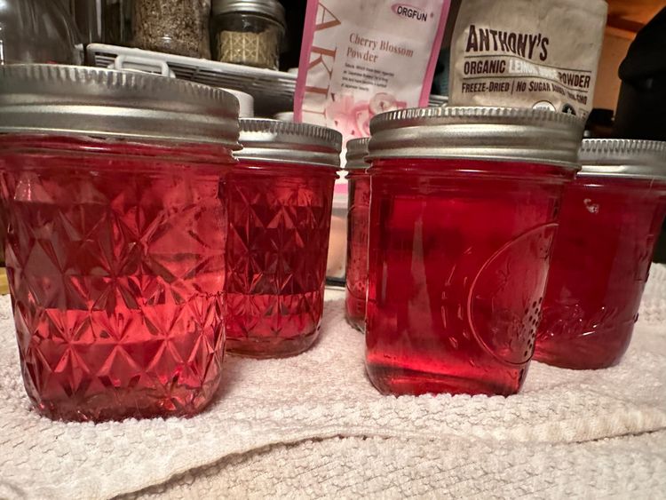 Jars of lovely pink violet flower jelly sit on a nubbly, off-white towel on a kitchen counter.