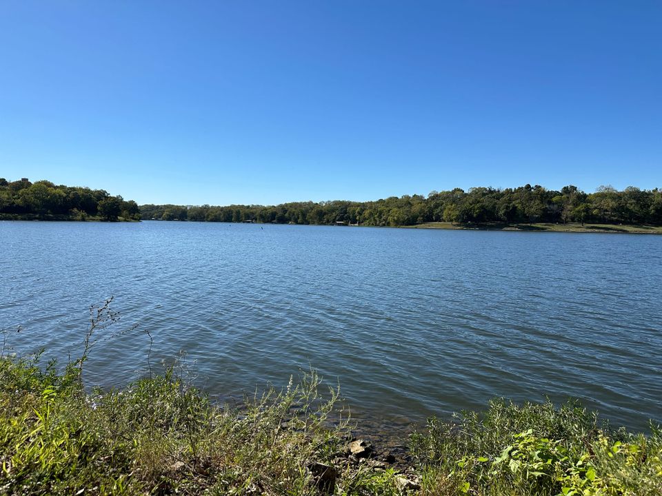 Beautiful blue sky, green trees, large blue lake, and rocks and plants in the foreground.