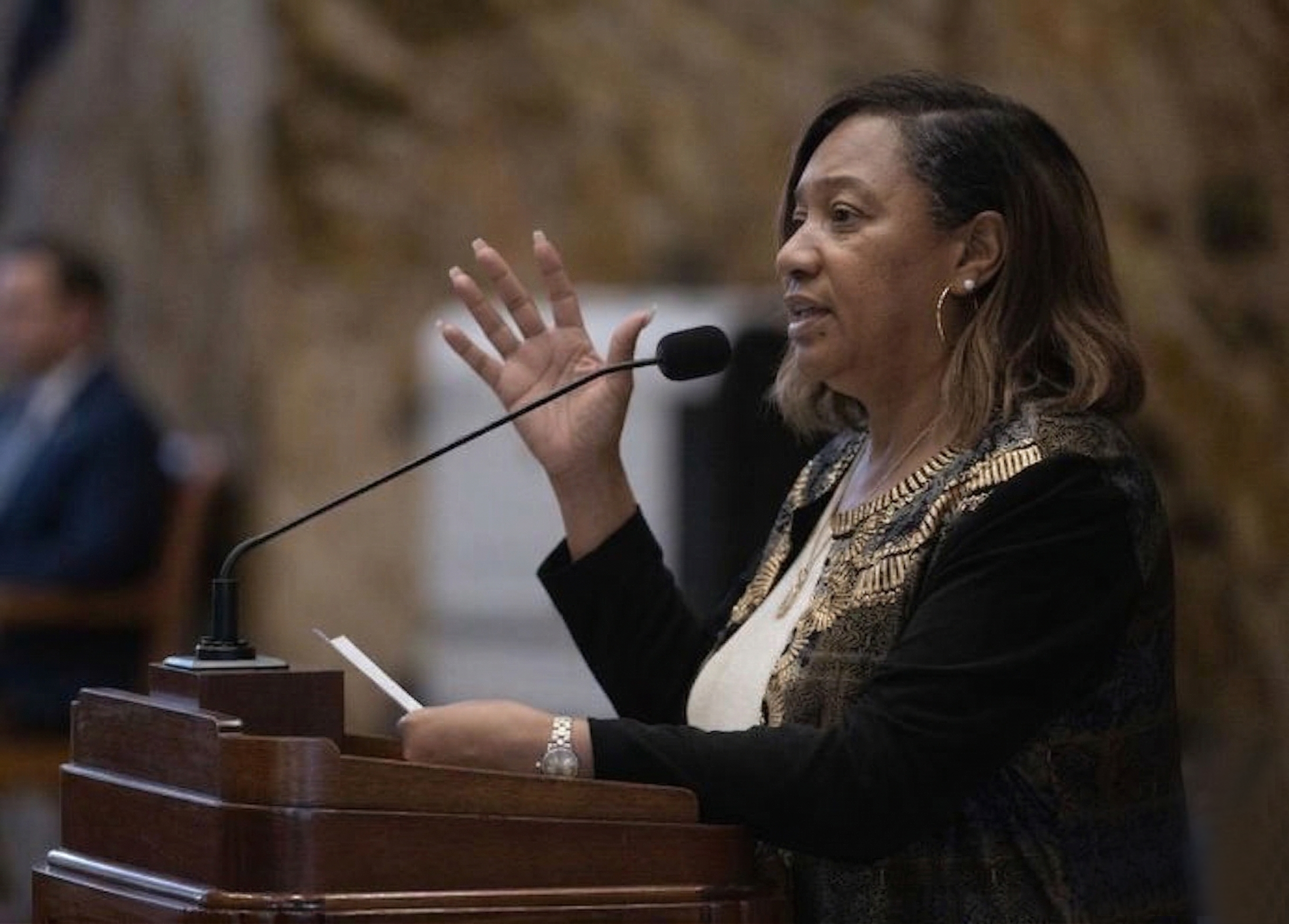 Marcelle Introduces Bill to Establish Plank Road Economic Development District