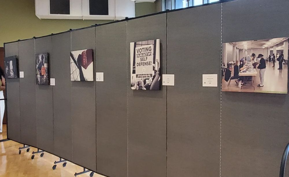 ‘Picture the Power’ captures messages of civic engagement in Louisiana post image