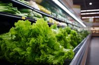 Louisiana’s Cyclospora Cases Climb as National Lettuce Outbreak Raises Unanswered Questions post image