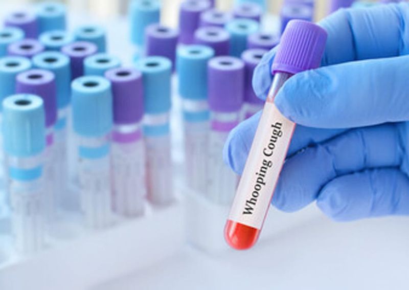Louisiana Sees Worst Whooping Cough Outbreak in 35 Years post image