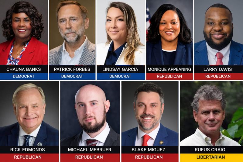 Whoever Wins Louisiana’s 6th Must Remember Who They Work For post image